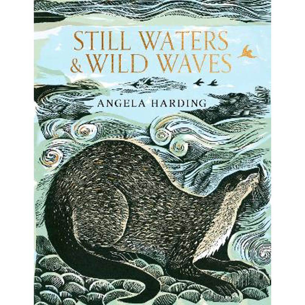 Still Waters & Wild Waves: the beautiful new book from printmaker and illustrator Angela Harding (Hardback)